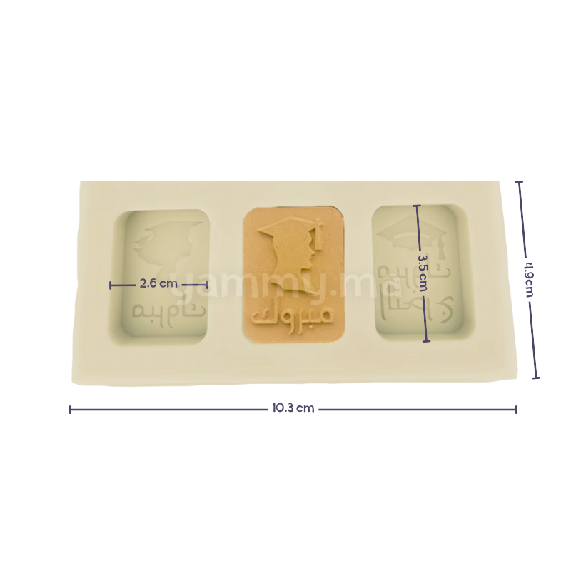 Moule Silicone 3 Lingots Soutenance