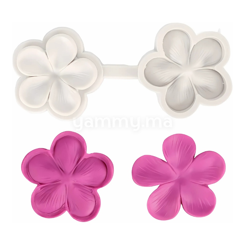Moules Silicone Pétales de Fleurs & Feuilles MSP227