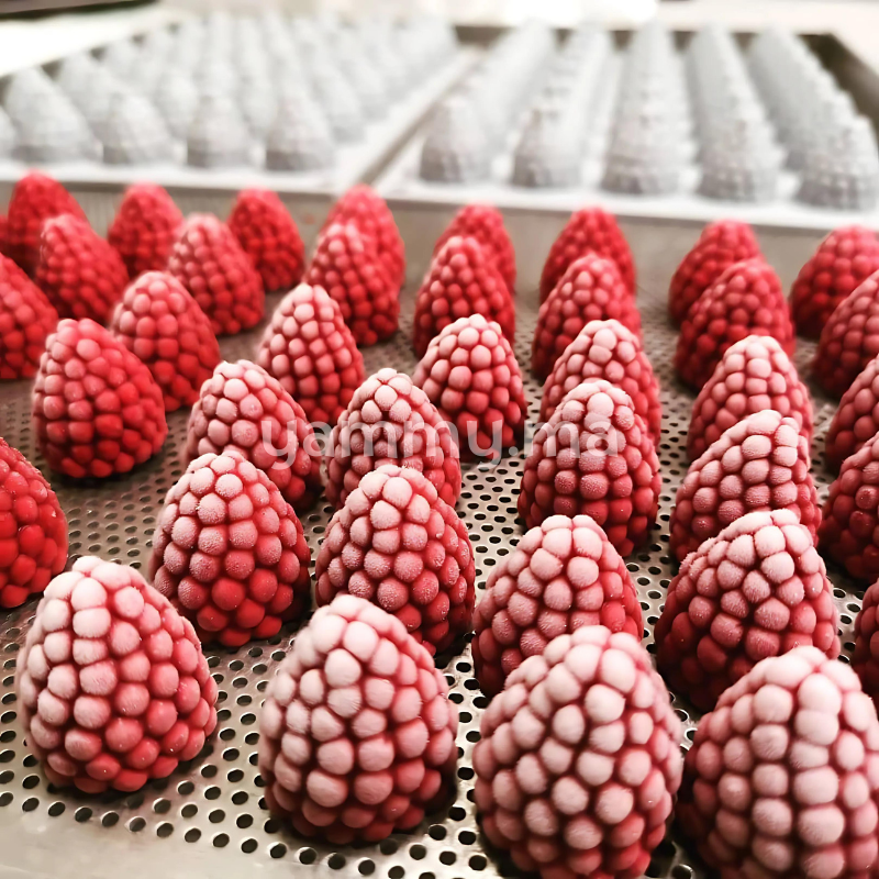 Moule Silicone Gourmand Baie "GG017" - Pavoni