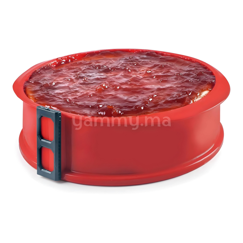 Moule Amovible Rond avec Base en Verre 22.5 cm - Ibili 875700