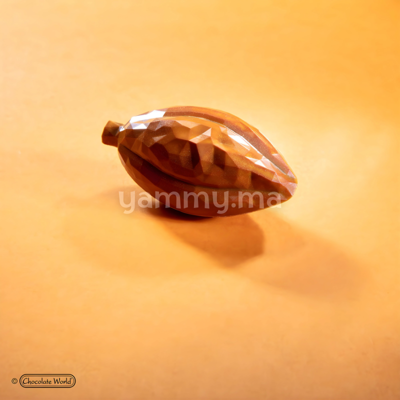 Moule Chocolat en Polycarbonate Fève de Cacao Facette "CW12000" - Chocolate World