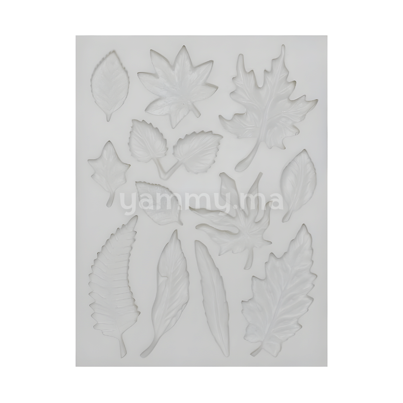 Moule Silicone 12 Feuilles d'Arbre pate a suce