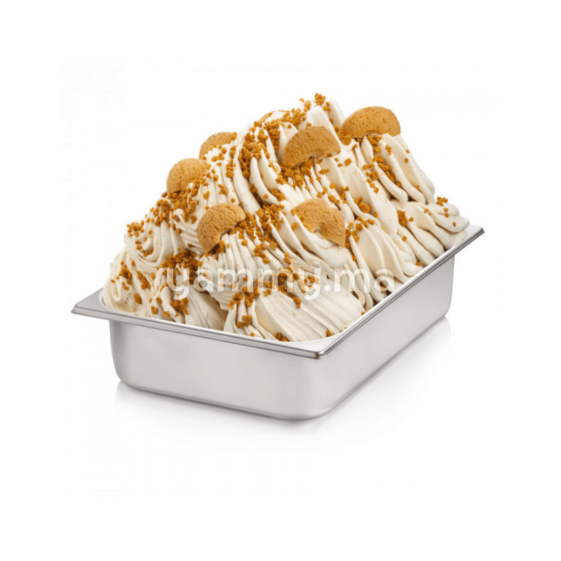 Pâte Concentré Pât'Délice Biscuit 100 Gr