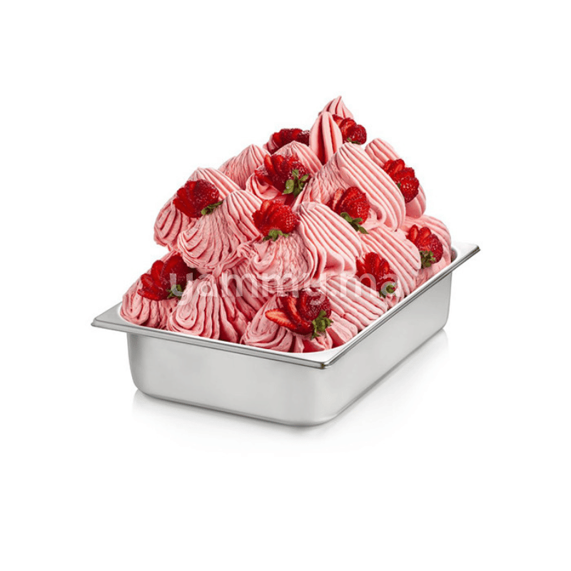 Pâte Concentré Pât'Délice Fraise 100 Gr