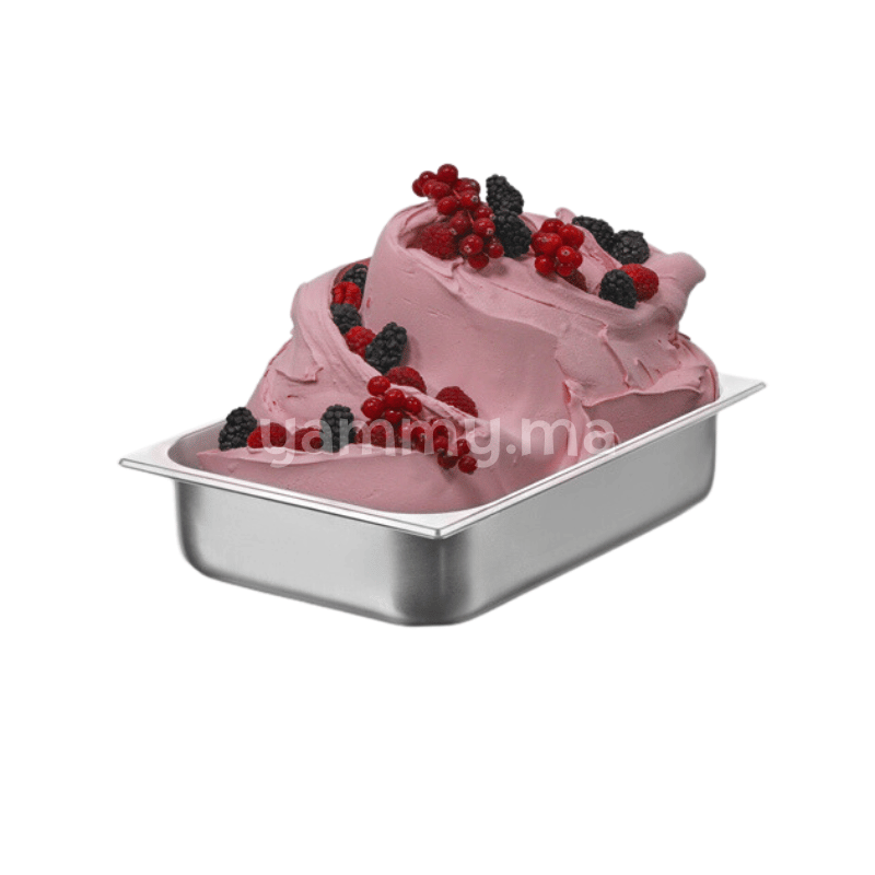 Pâte Concentré Pât'Délice Fruits des Bois 100 Gr