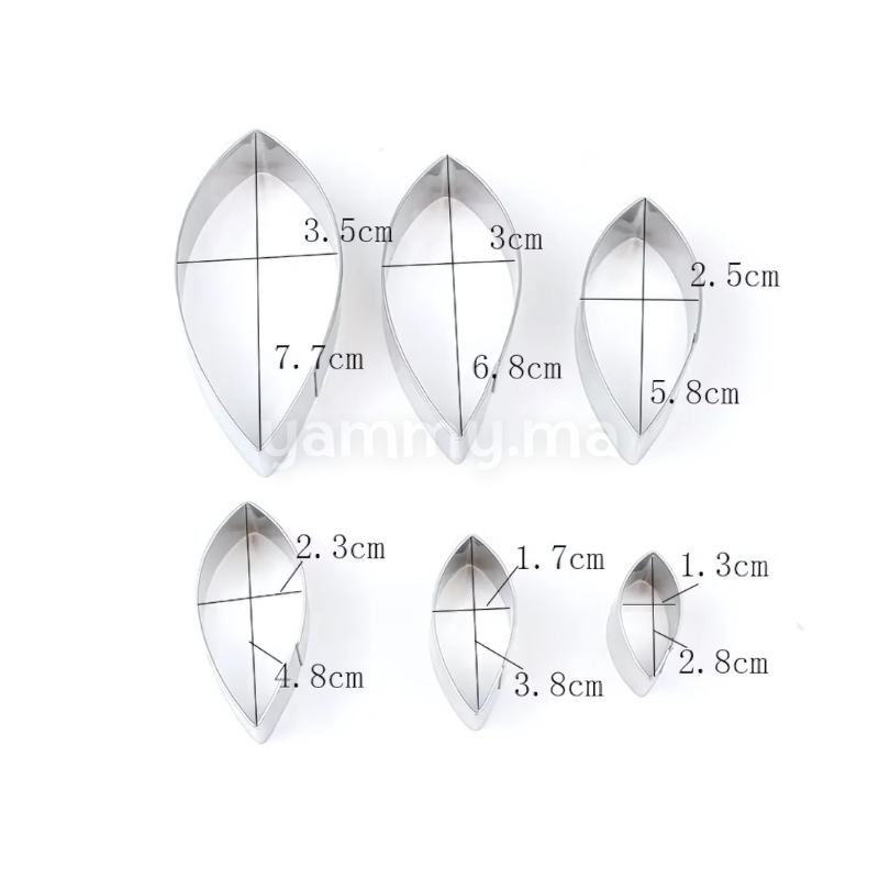 SET. 6 Emporte-pièces Pétale de Dahlia en Inox