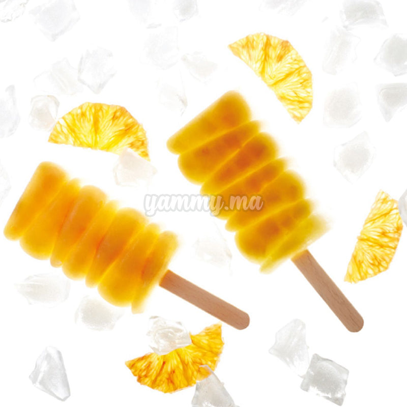 Moule Silicone Pavogel Maracaibo "PL03" - Pavoni