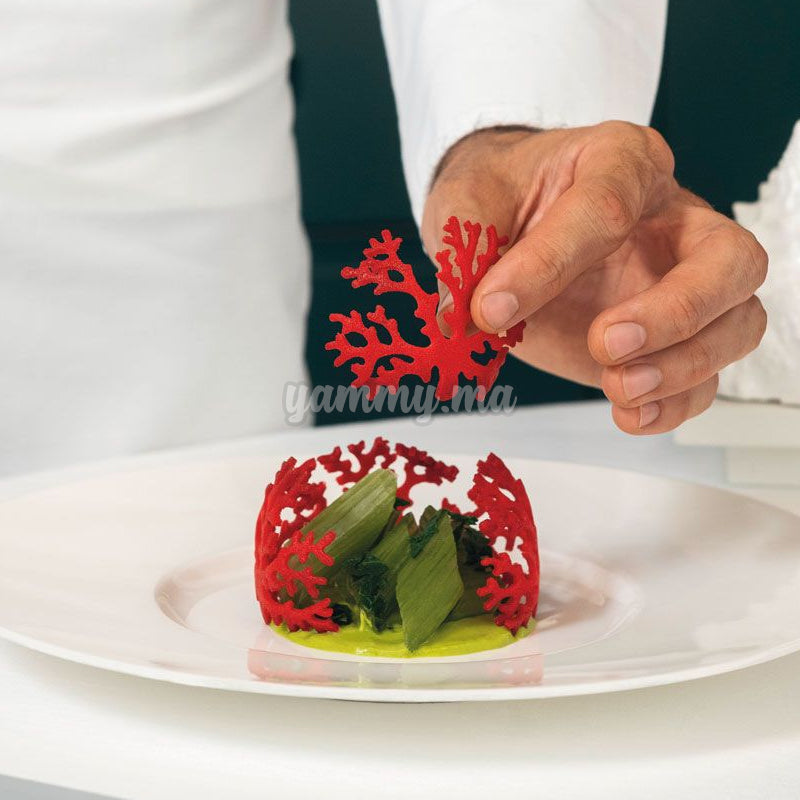 Moule Silicone Coral "GG027" - Pavoni