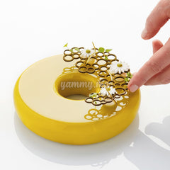 Moule Silicone Pavodecor Cercles 1 "PR004" - Pavoni