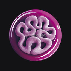 Moule Silicone Jelly "TOP15" - Pavoni