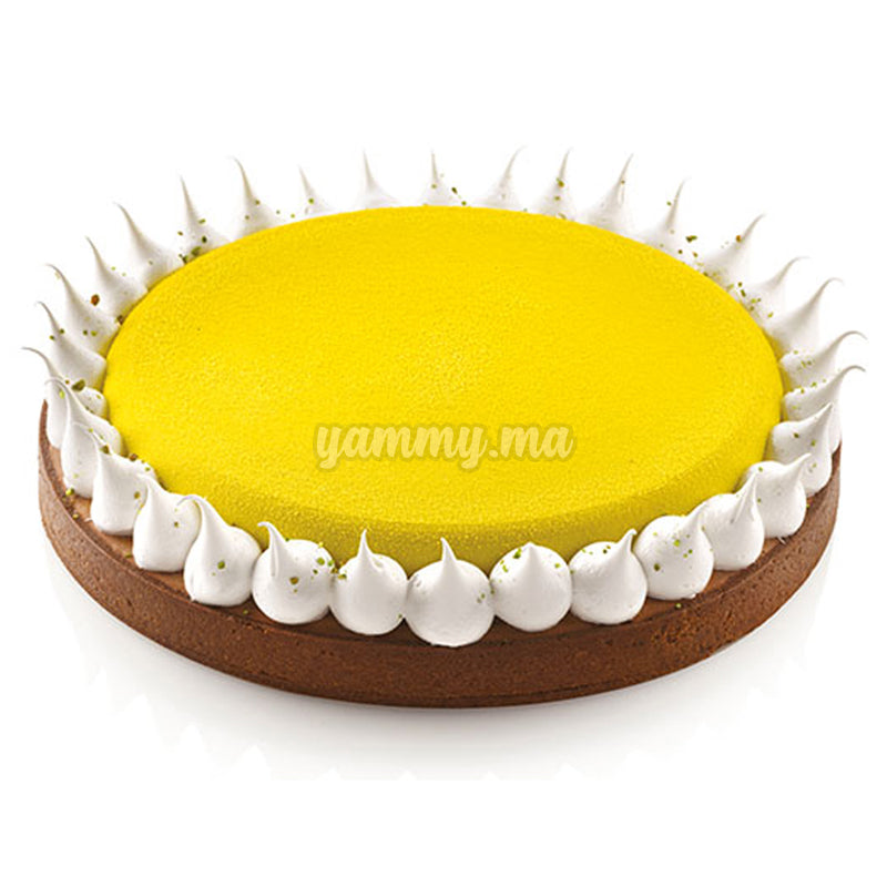 Moule Perforé Rond 230/h20mm"AFT230" - Silikomart