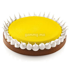 Moule Perforé Rond 230/h20mm"AFT230" - Silikomart